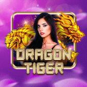 Dragon Tiger scatter live casino